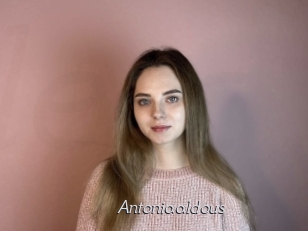 Antoniaaldous
