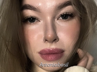 Antoniabasil