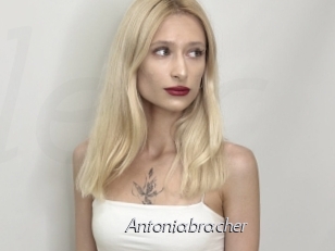 Antoniabracher
