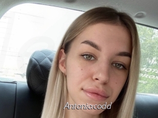 Antoniacodd