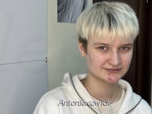 Antoniacowick