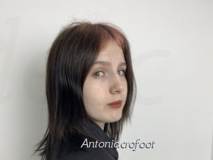 Antoniacrofoot