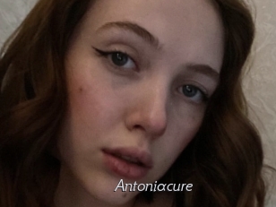 Antoniacure