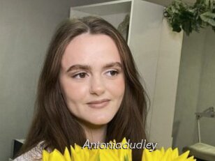 Antoniadudley
