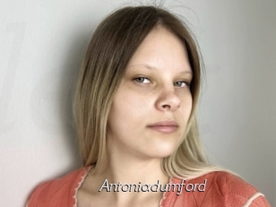 Antoniadumford