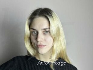 Antoniaedge