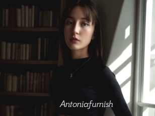 Antoniafurnish