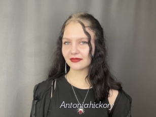 Antoniahickory