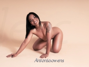 Antoniaowens