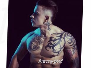 Antonygold