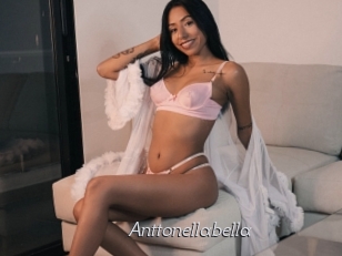Anttonellabella