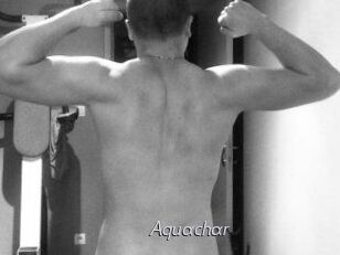 Aquachar