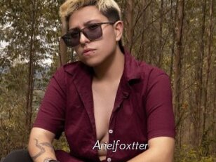 Arielfoxtter