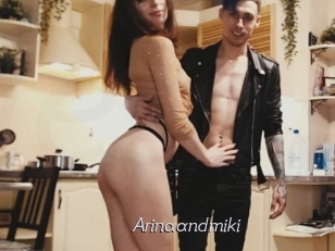 Arinaandmiki