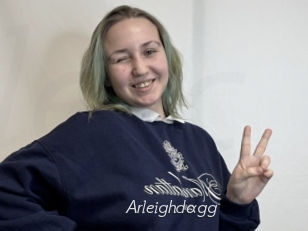 Arleighdagg