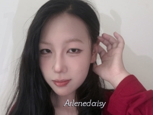 Arlenedaisy
