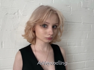 Ashleycodling