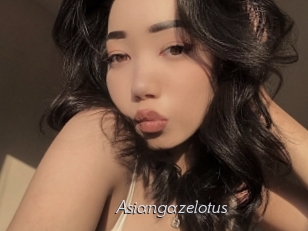 Asiangazelotus
