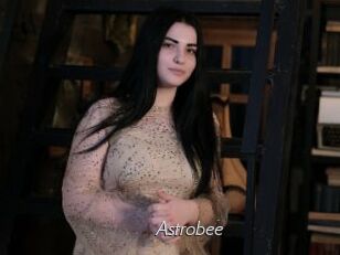 Astrobee