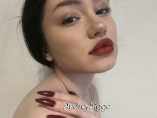 Audreybigge