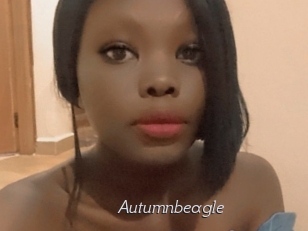 autumnbeagle Le Scandale
