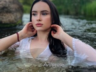 Avilarose