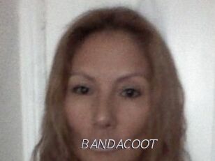 BANDACOOT