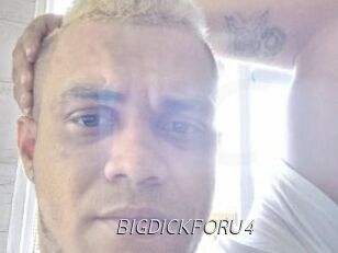 BIGDICKFORU4