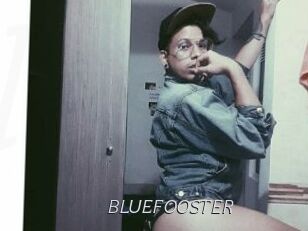 BLUEFOOSTER