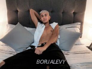 BORJALEVY