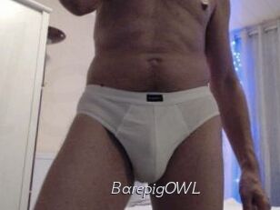 BarepigOWL