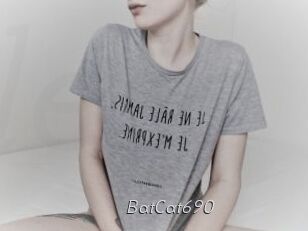 BatCat690