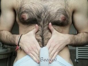Bearcat