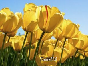 BelleB3