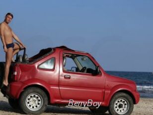 BerryBoy