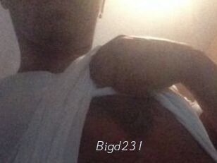 Bigd231