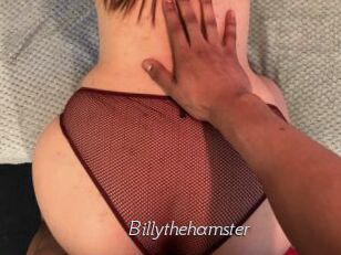 Billythehamster