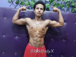 BlackBodyX