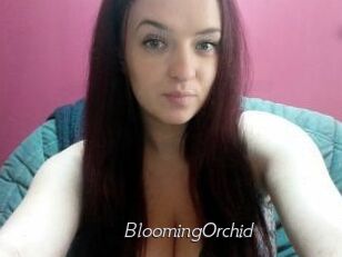 BloomingOrchid