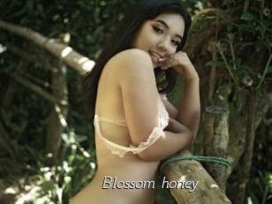 Blossom_honey