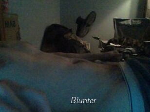 Blunter