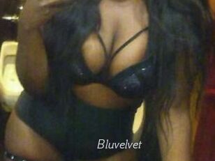 Bluvelvet