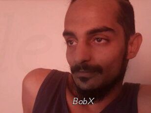 BobX