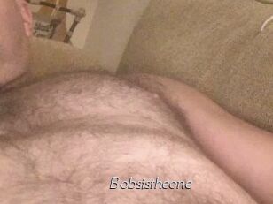 Bobsistheone