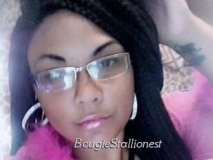 BougieStallionest