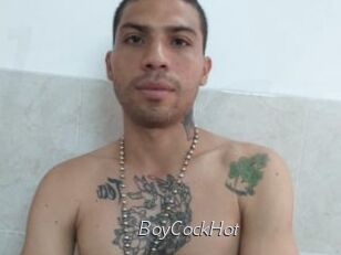 BoyCockHot