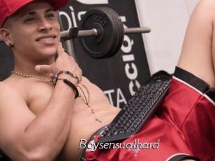 Boysensualhard