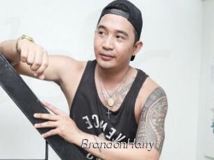 BrandonHarry
