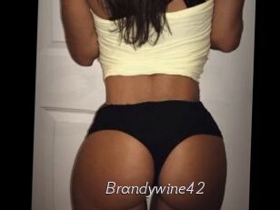 Brandywine42