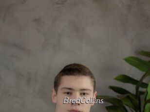 BredCollins